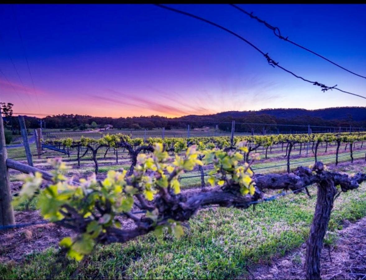 #Grampians Views Getaway #Cbd #Netflix Apartment Stawell Bagian luar foto